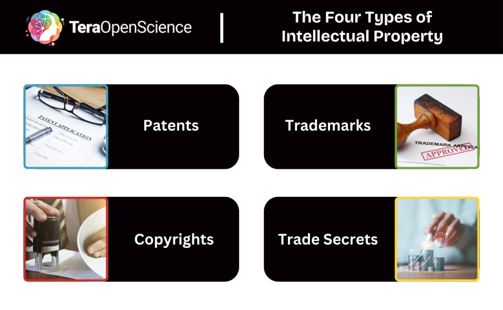 Infographic showing the four main examples of intellectual property: patents, trademarks, copyrights, and trade secrets