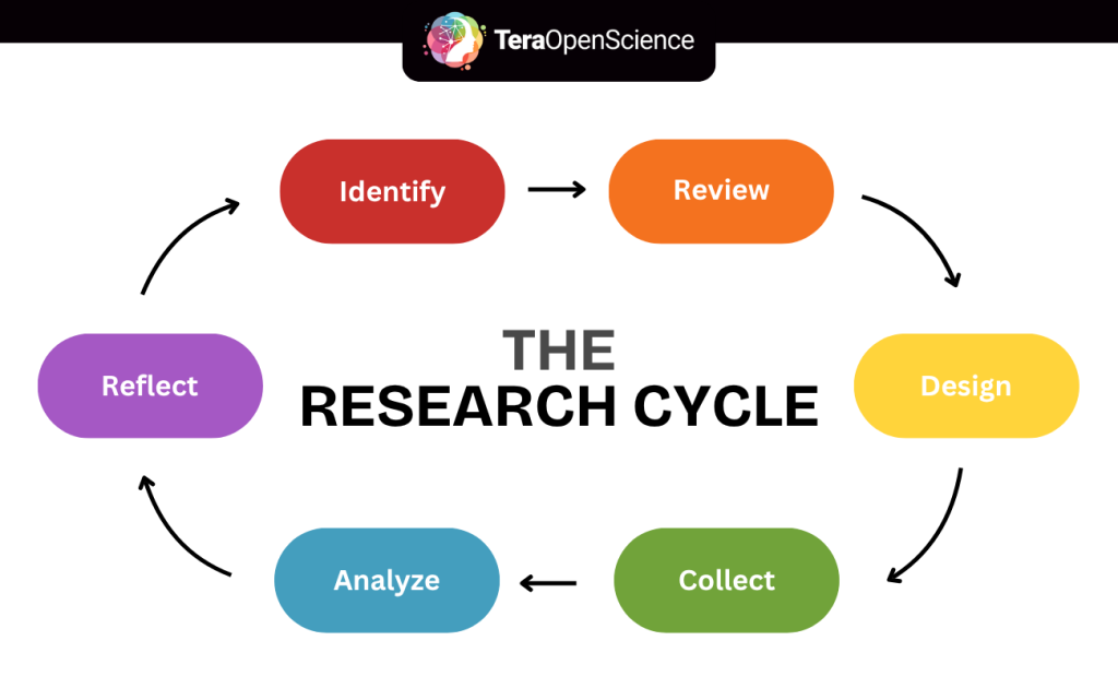 Infographic showing the 6 stages of the research cycle.