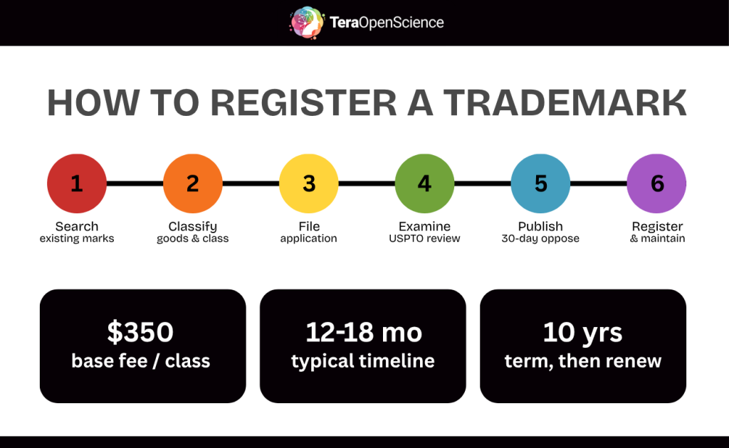 Infographic showing the 6 steps of registering a trademark, including three other helpful facts.