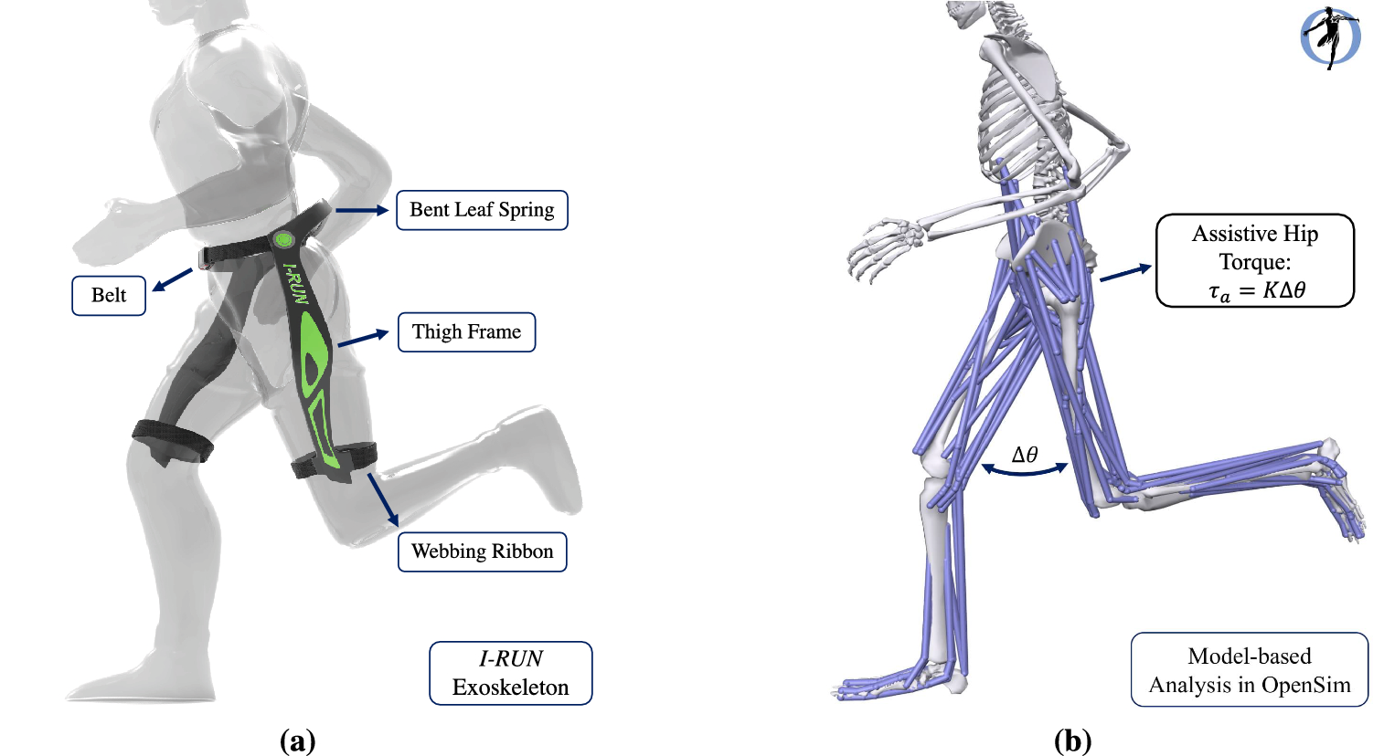 Development of a Wearable Biomechanics Analysis System for Elite Runners