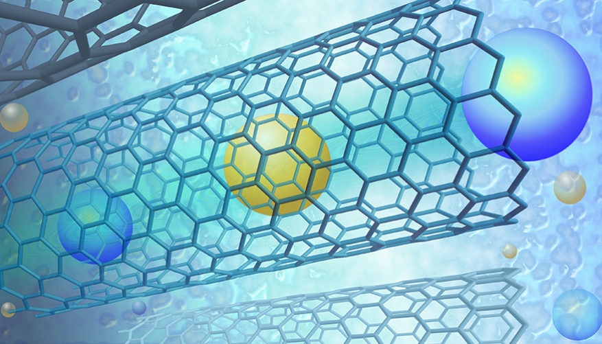 Lab-on-a-Chip Diagnostic Platform