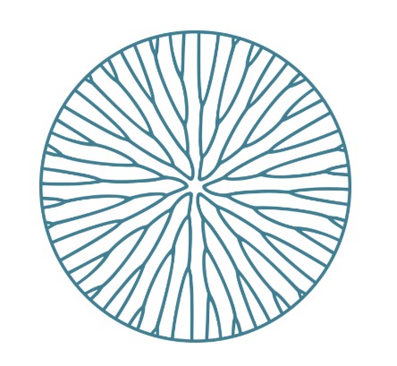 Insights From Leaders In The Global Biomimetics Industry